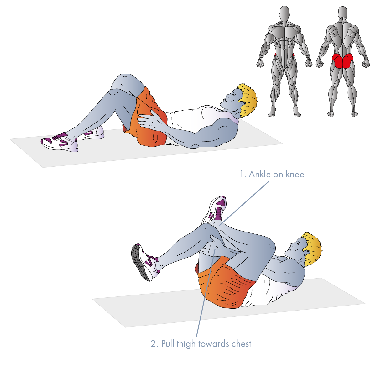 https://www.anterides.com/UserFiles/images/exercises/square-unannotated/3-Ankle-On-Knee-Piriformis-Stretch-TABLET-M.png